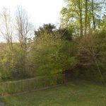Picture-6985869-16