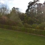 Picture-6985869-17