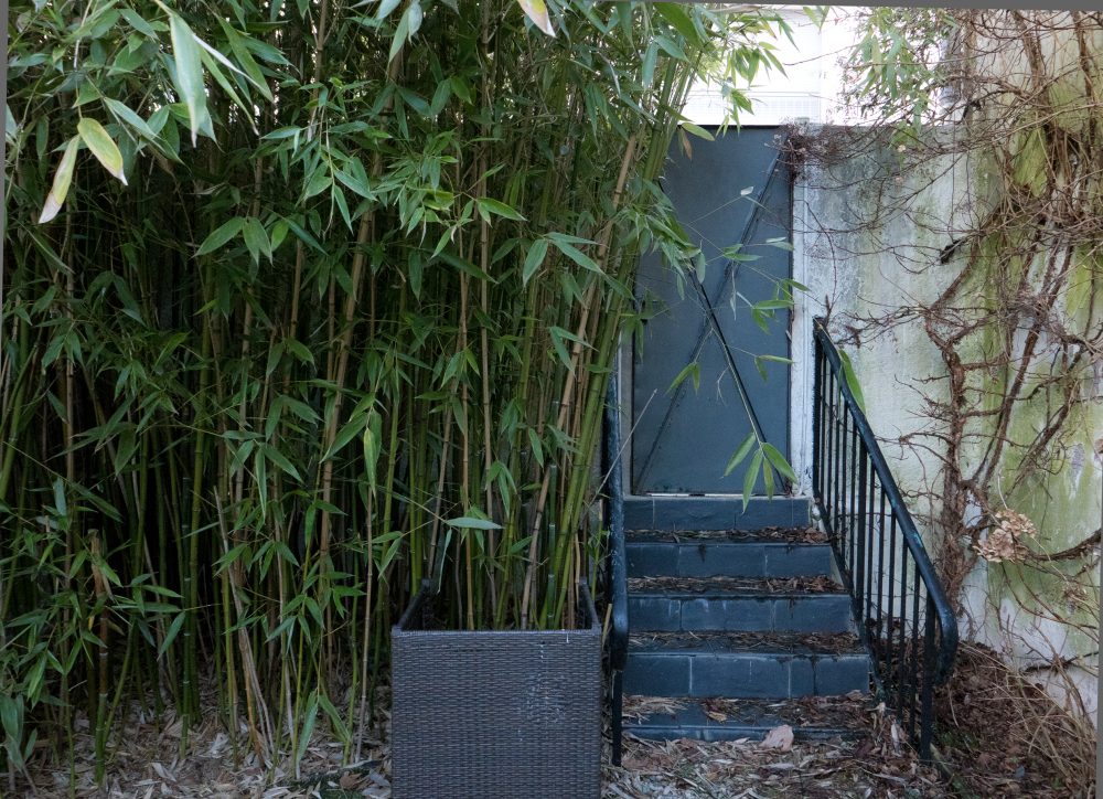 à vendre – maison saint cyr sur loire jardin