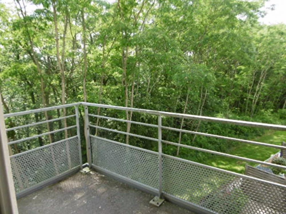 Picture-6985414-10