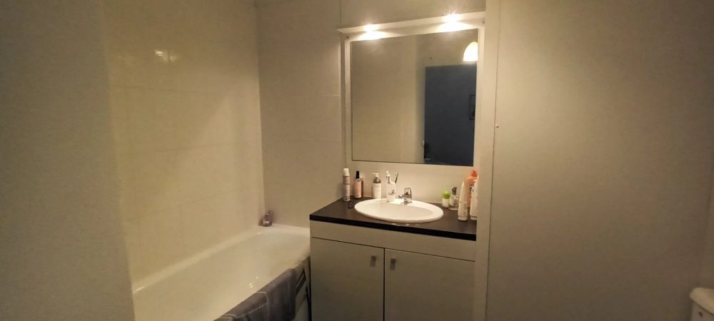 T2 à vendre loué Chambray-Lès-Tours terrasse parking – salle de bains