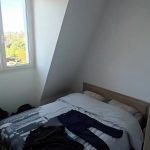 Picture-82273181-6