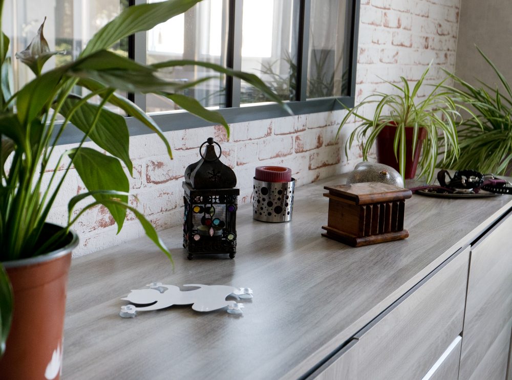 T3 à vendre proche jardin Botanique – détail séjour