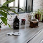 T3 à vendre proche jardin Botanique – détail séjour