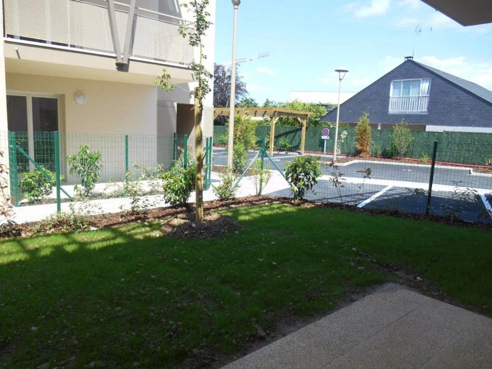 Picture-6985406-1 (1)