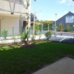 Picture-6985406-1 (1)