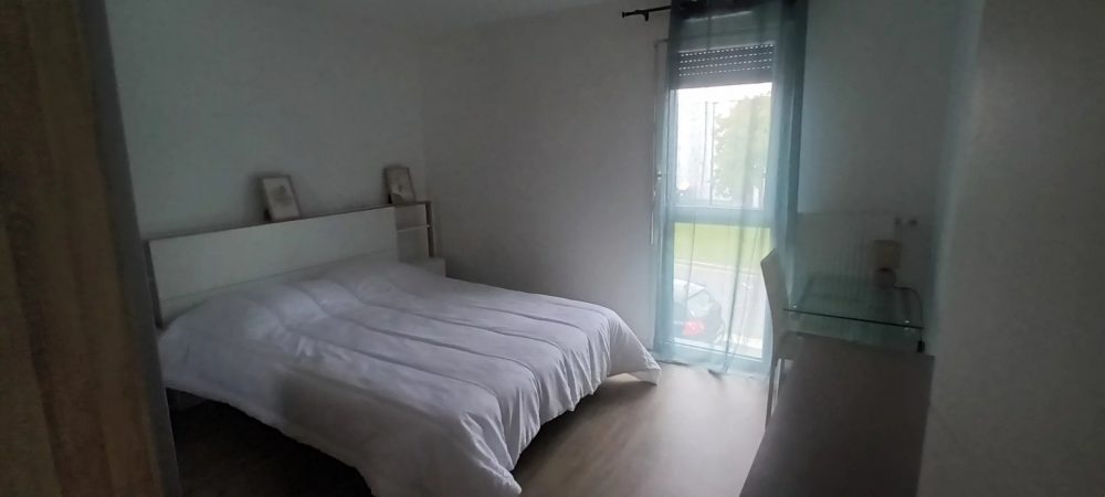 Picture-86333125-4