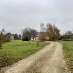 Picture-82773839-13 (1)