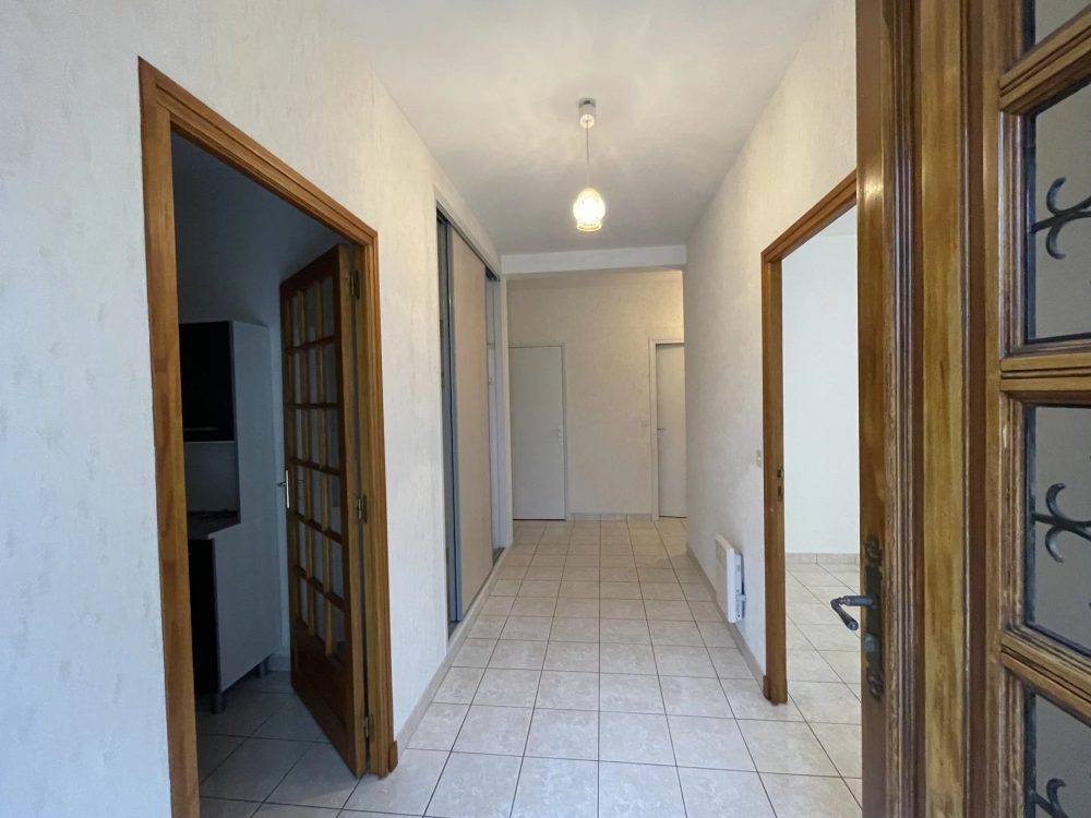 Picture-82773839-4 (1)