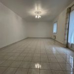 Picture-82773839-5 (1)