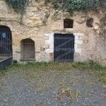 Picture-8078542-2 (1)