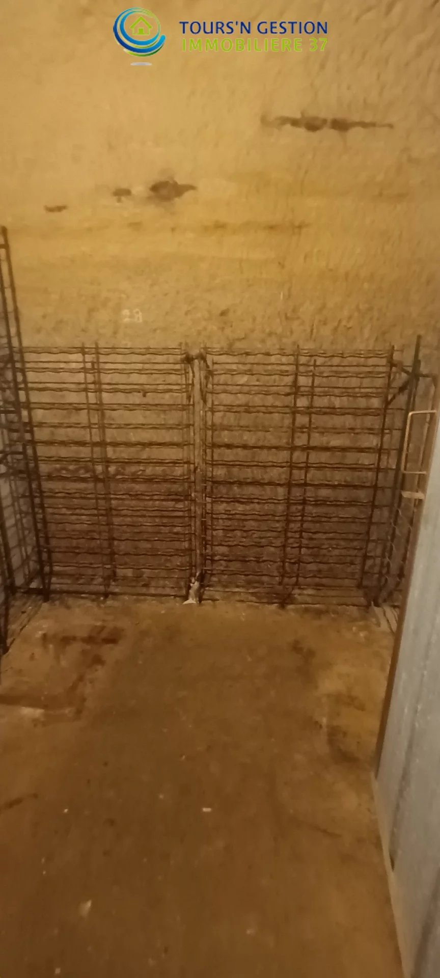 Picture-8078542-3 (1)