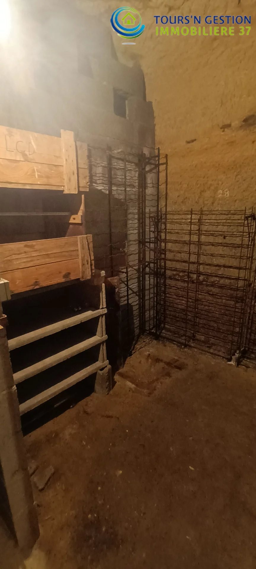 Picture-8078542-4 (1)