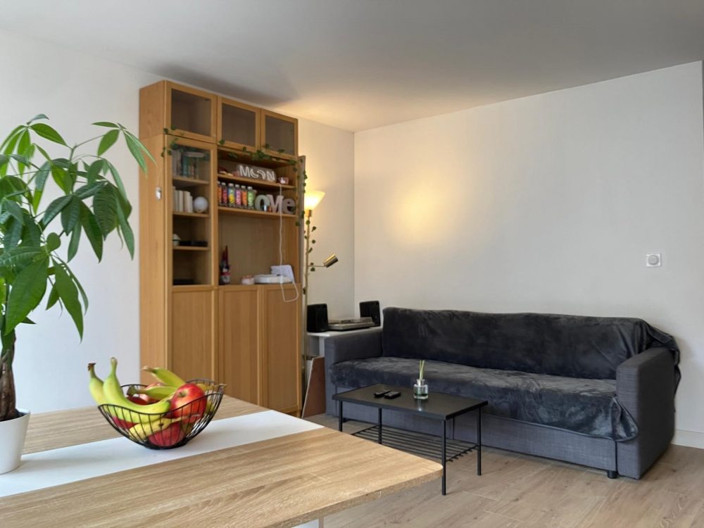 Salon appartement T2 à TOURS à vendre