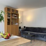 Salon appartement T2 à TOURS à vendre