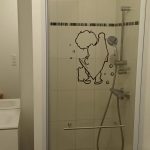 Picture-7079614-5