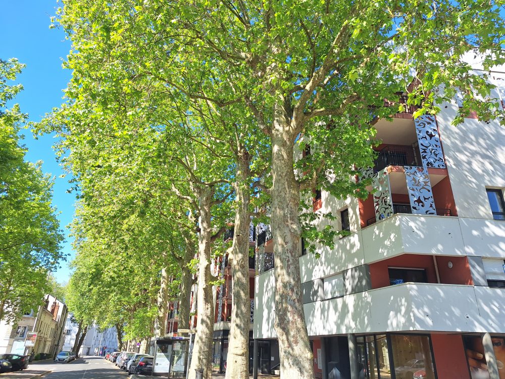 à vendre T2 quartier Lamartine – façade immeuble