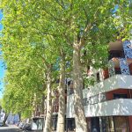 à vendre T2 quartier Lamartine – façade immeuble
