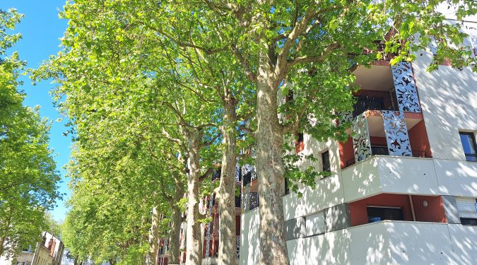 à vendre T2 quartier Lamartine - façade immeuble