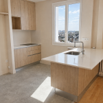 à vendre – T3 vue sur prébendes – quartier grammont tours – cuisine ouverte
