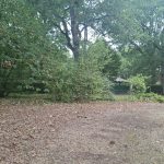 PARC 1