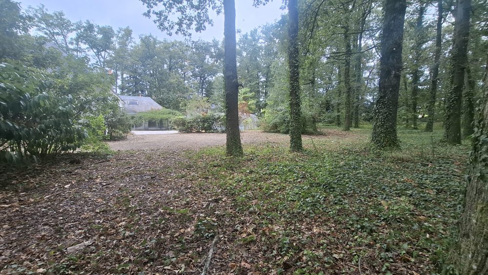 PARC 3