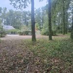 PARC 3