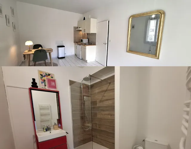 Façade immeuble avec appartement Type 2 meublé de 35 m2 à louer sur Tours-Centre à proximité de la Faculté des Tanneurs | LOCATION 37.FR