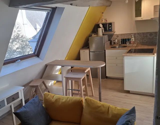 Pièce à vivre Studio meublé de 20 m2 env. avec coin couchage en mezzanine à louer sur Tours Centre proche quartier Cathédrale | LOCATION 37.FR